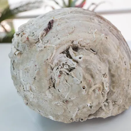 Oreb Gostinjska kuća 3*